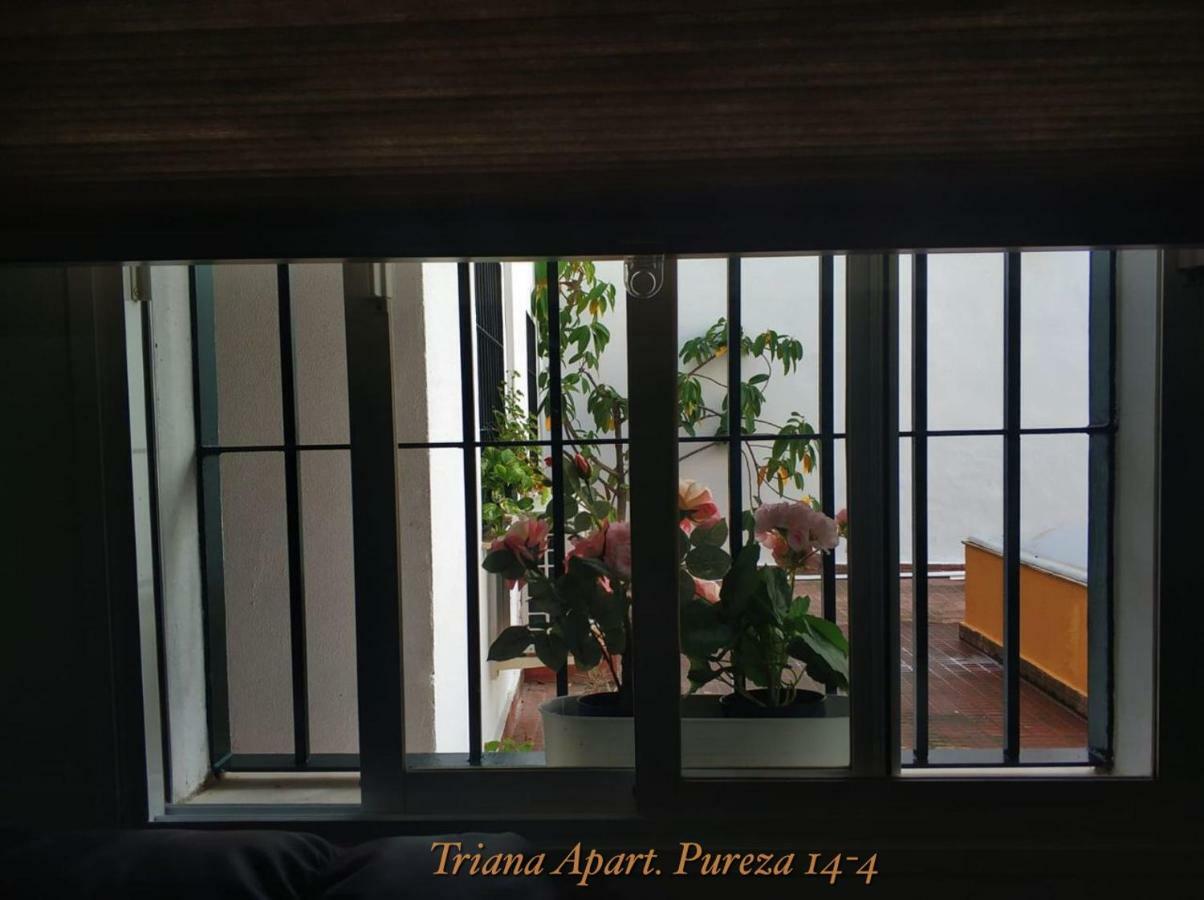 Triana Pureza 12-14 — Photos 3